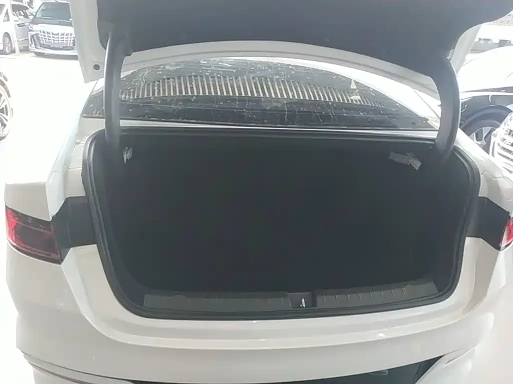 BYD Qin PLUS 2024 — фото 19