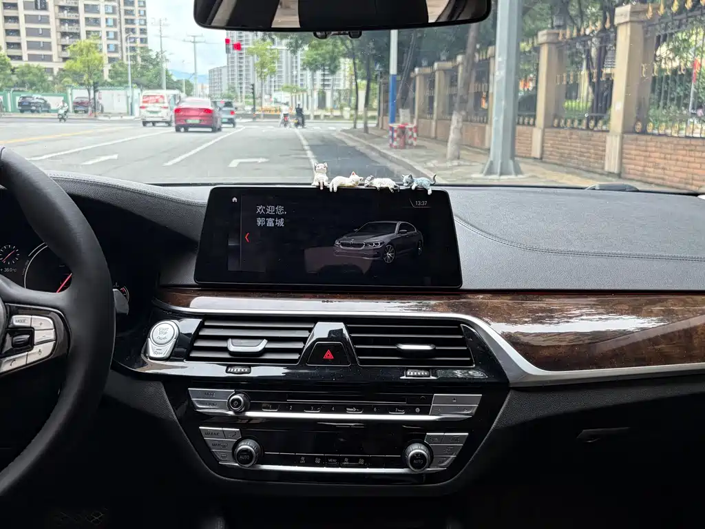 BMW 5 Series 2018 — фото 20