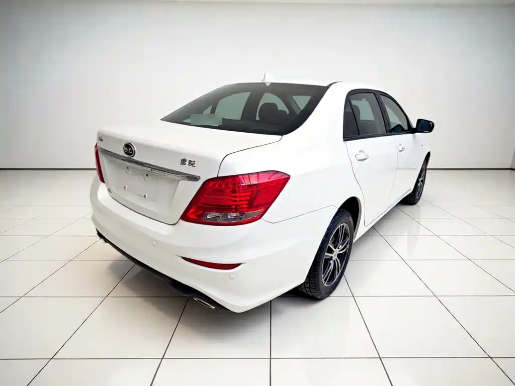 BYD Surui 2015