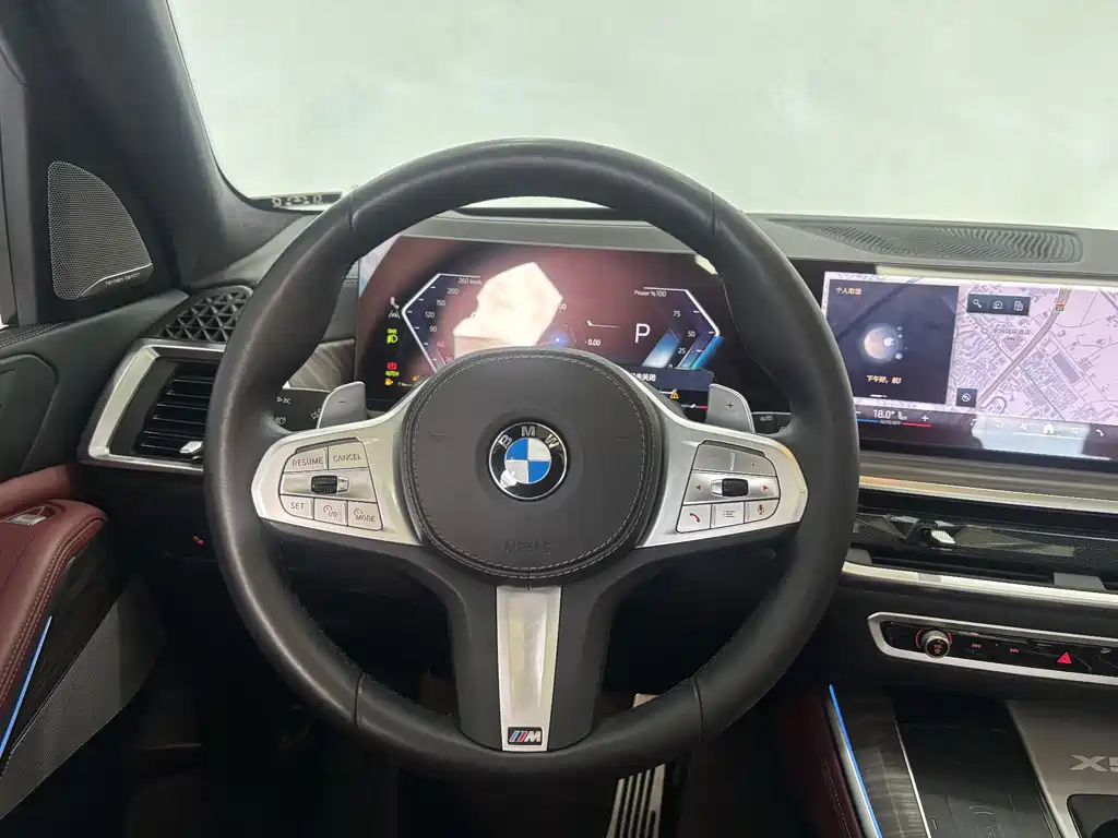 BMW X5 2025 — фото 15