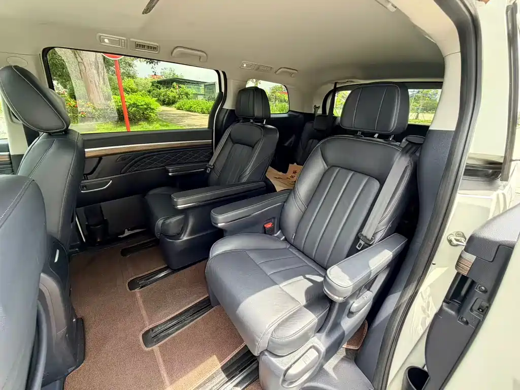 GAC Motor Trumpchi M8 2020 — фото 13
