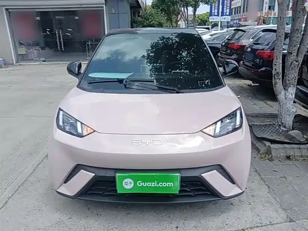BYD Seagull 2024