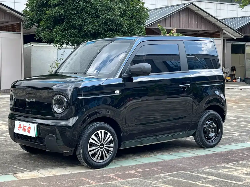 Geely Galaxy Panda 2024 — фото 1
