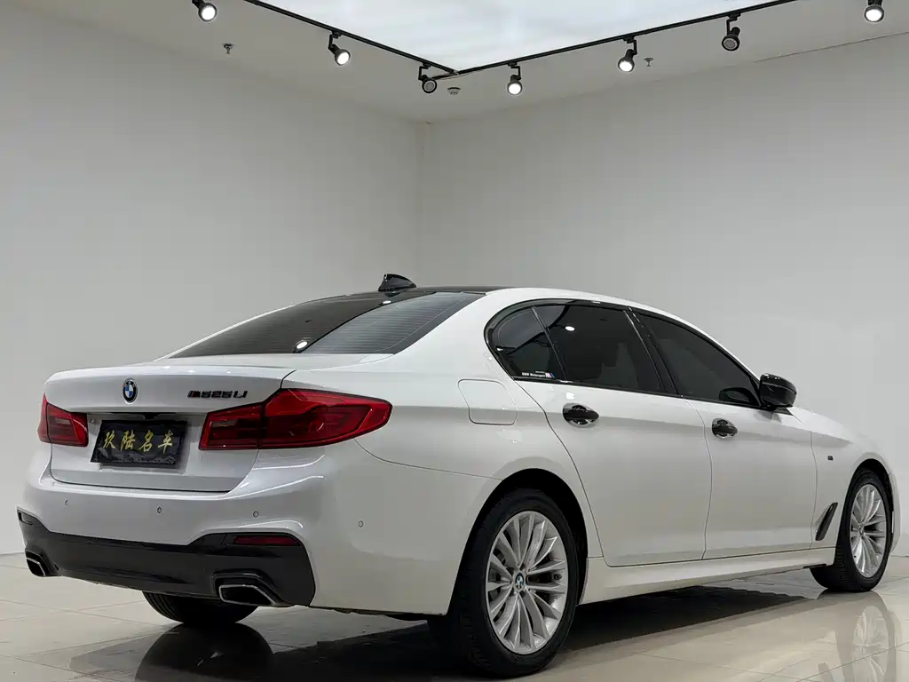 BMW 5 Series 2020 — фото 16