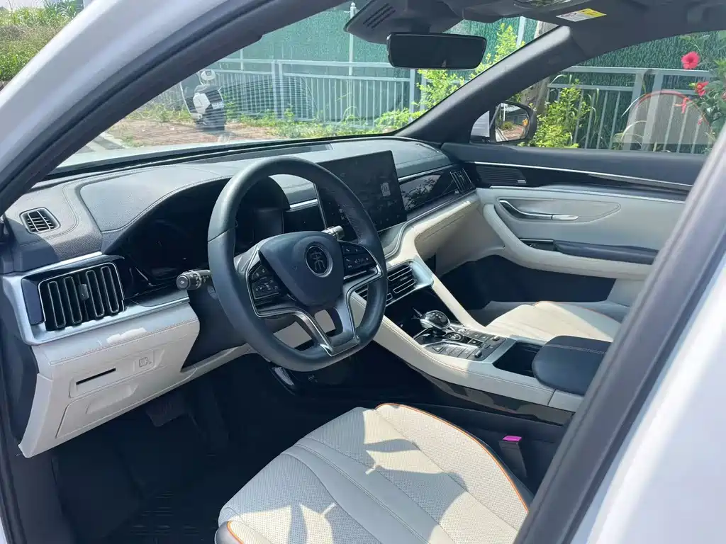 BYD Song PLUS New Energy 2022 — фото 13