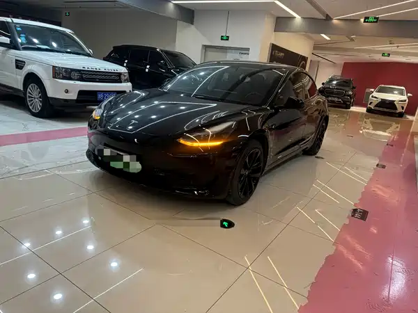 Tesla Model 3 2022