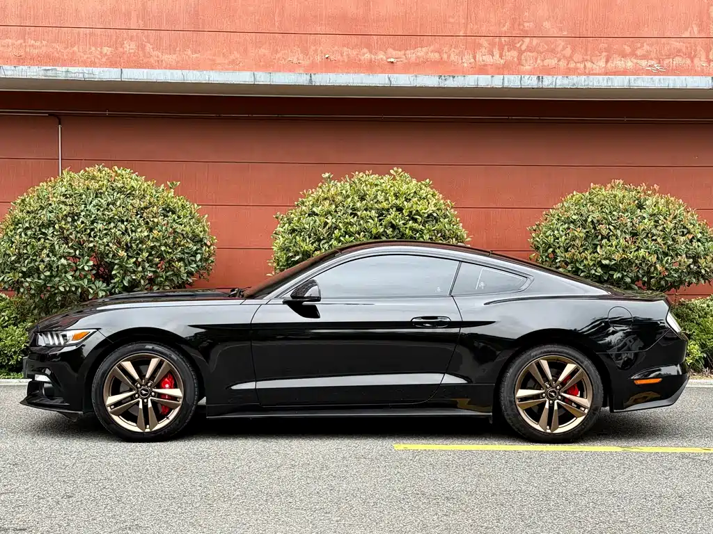 Ford Mustang 2017 — фото 11