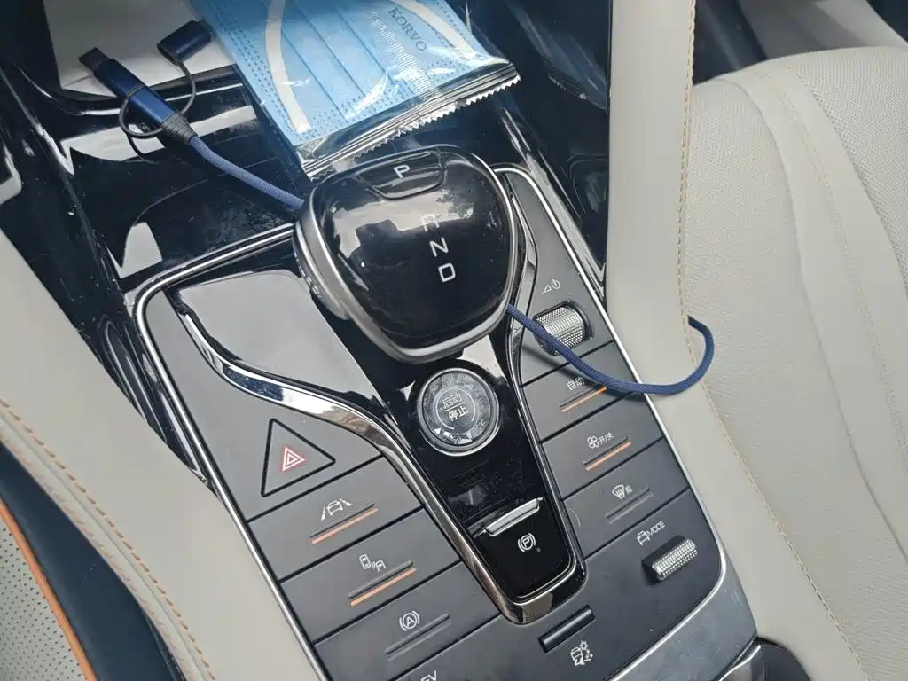 BYD Song PLUS New Energy 2021 — фото 7