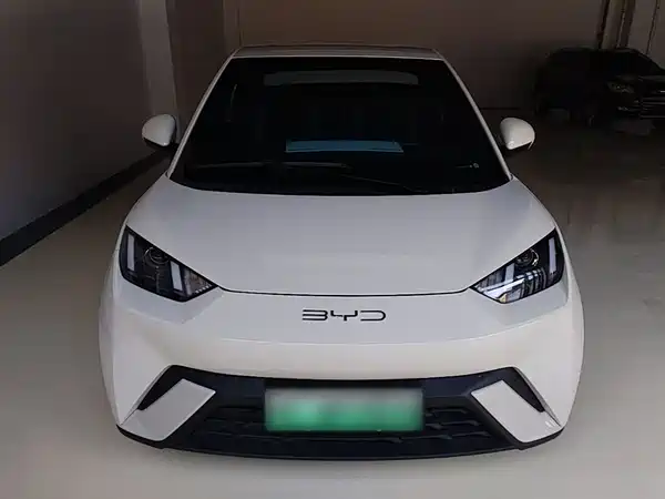 BYD Seagull 2024