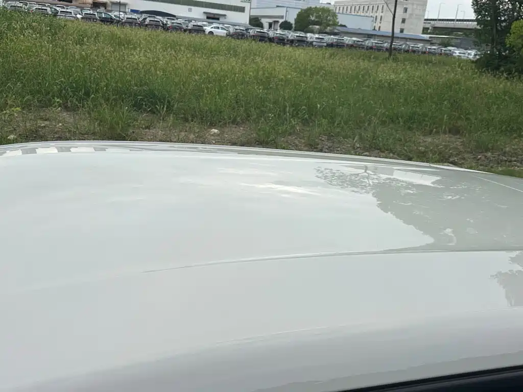BYD Seagull 2024