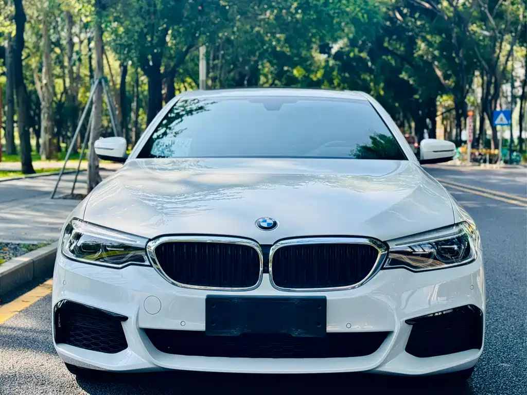 BMW 5 Series 2020 — фото 2