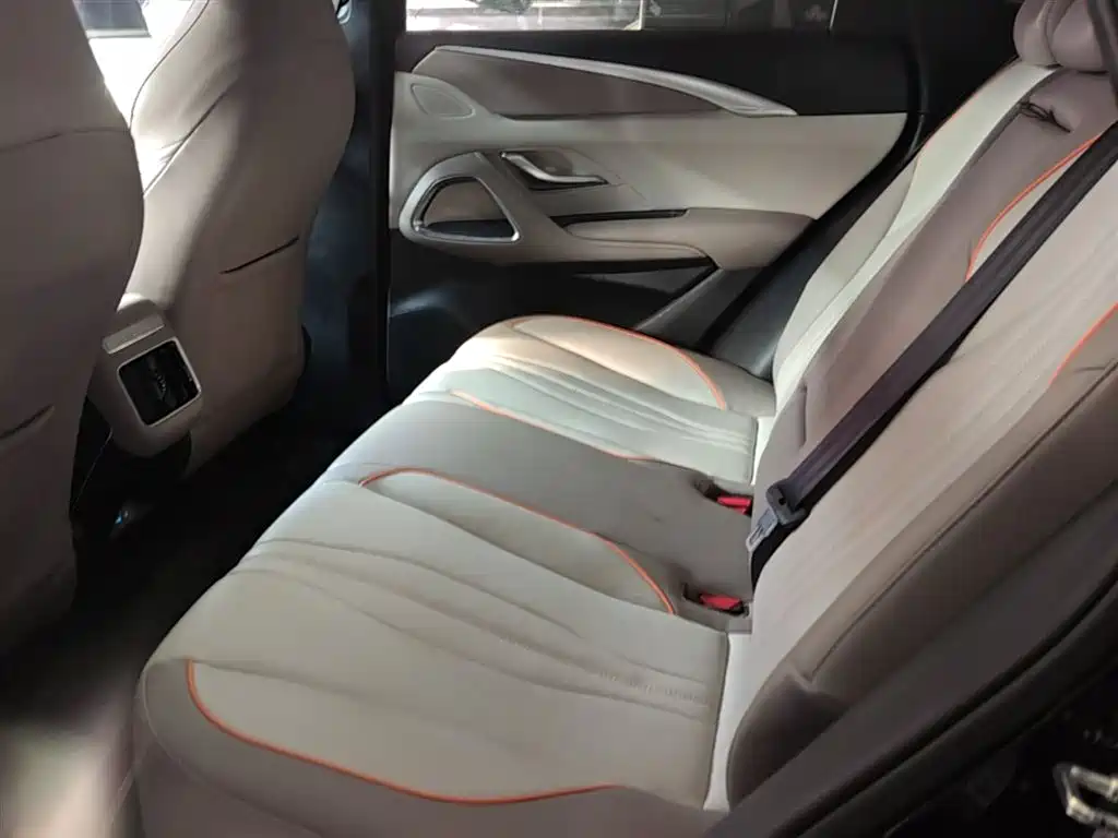 BYD Pro New Energy 2024 — фото 17