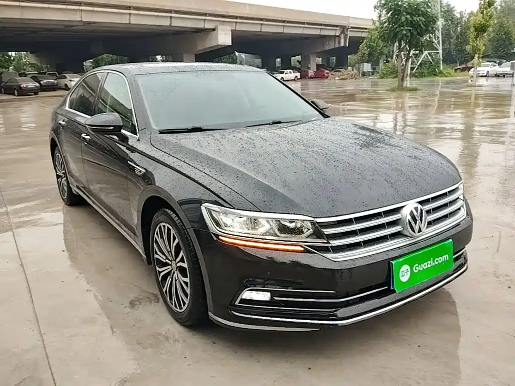 Volkswagen Phideon 2019 — фото 22