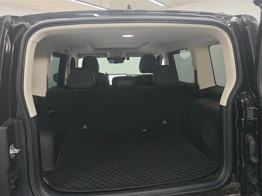 Haval Menglong New Energy 2024 — фото 4