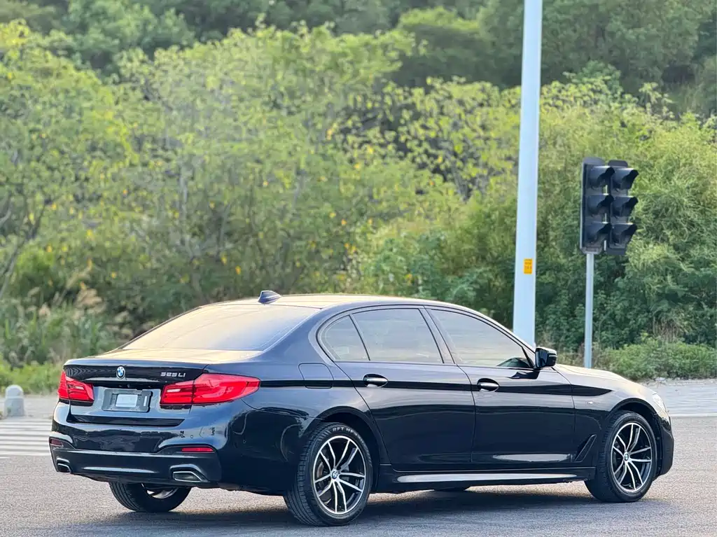 BMW 5 Series 2018 — фото 14
