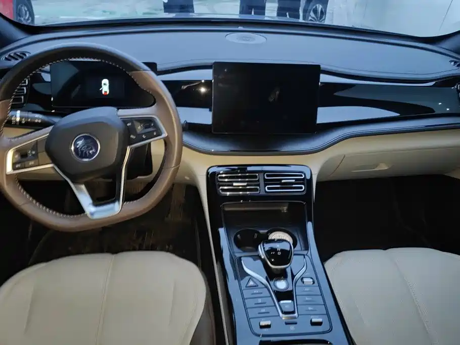 BYD Qin PLUS 2024 — фото 12