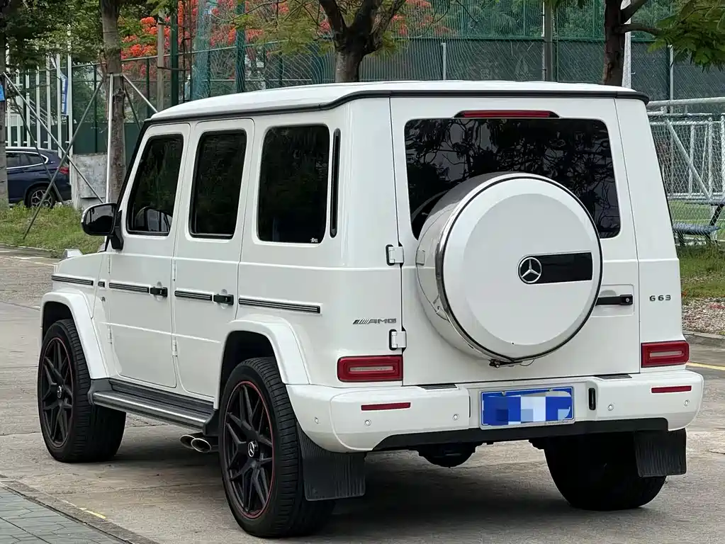 Mercedes-Benz G-Class 2019 — фото 6
