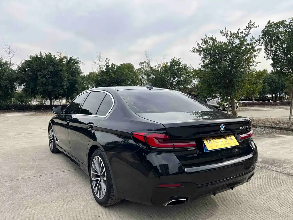 BMW 5 Series 2019 — фото 25
