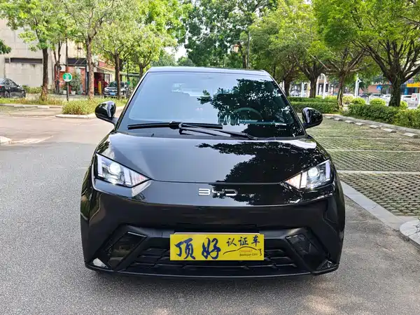 BYD Seagull 2024