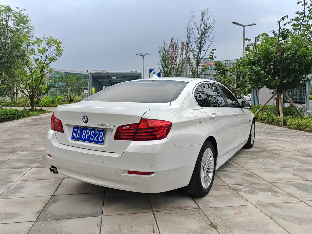 BMW 5 Series 2015