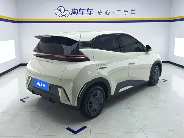 BYD Seagull 2024