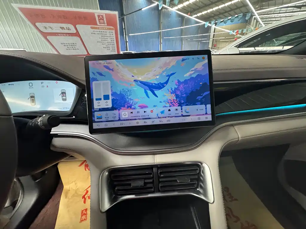 BYD PLUS New Energy 2025 — фото 15