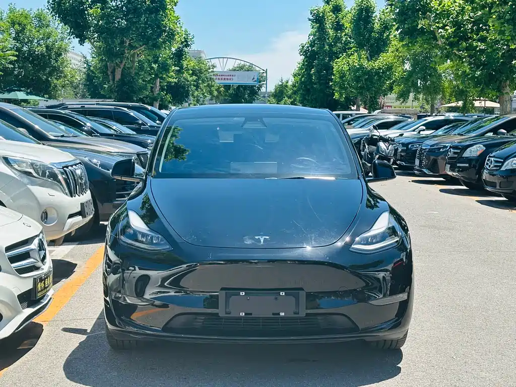 Tesla Model Y 2021 — фото 2