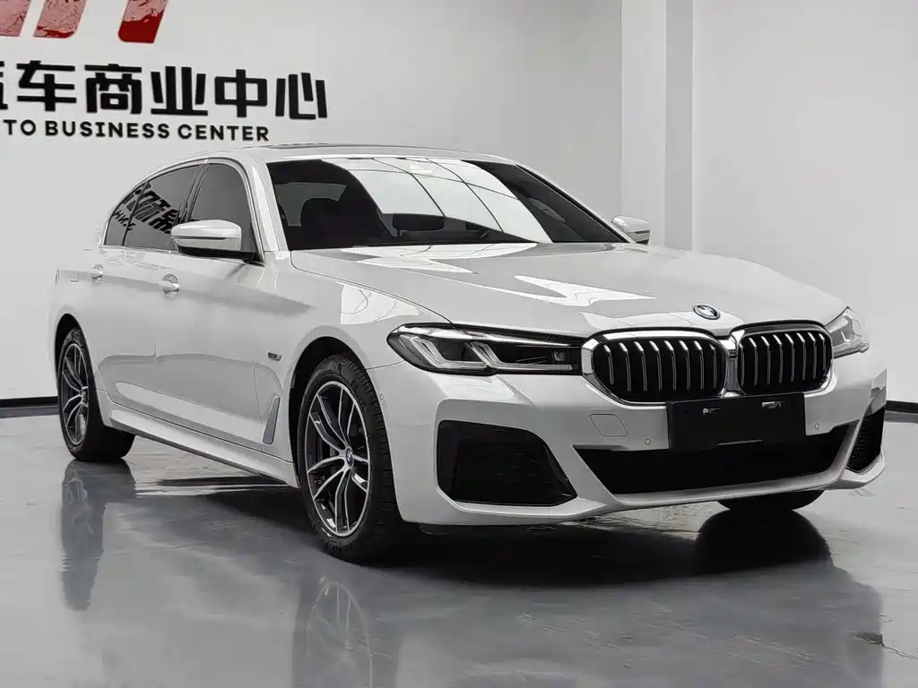 BMW 5 Series New Energy 2023