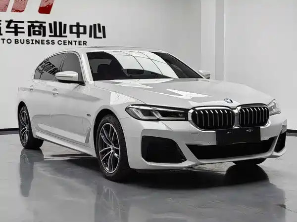 BMW 5 Series New Energy 2023