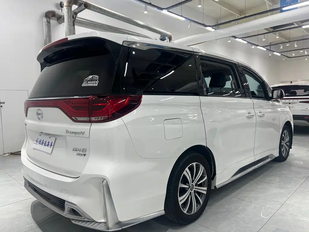 GAC Motor Trumpchi M8 2020 — фото 24