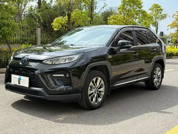 Toyota Wildlander 2022
