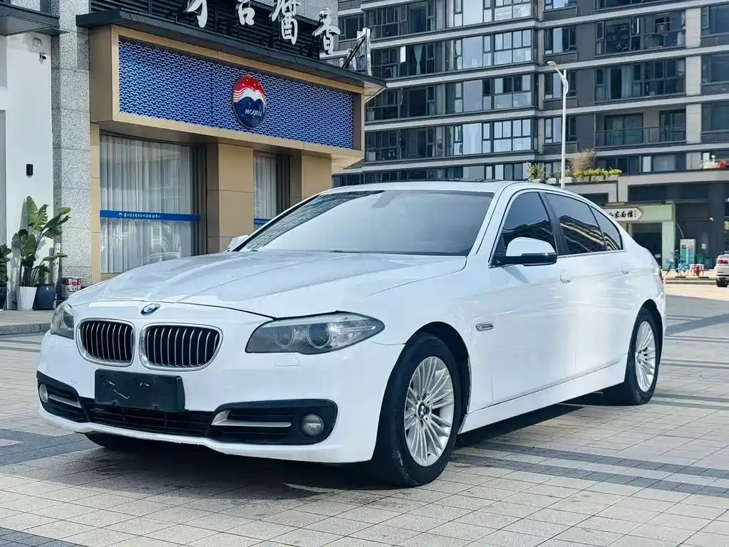 BMW 5 Series 2014 — фото 1