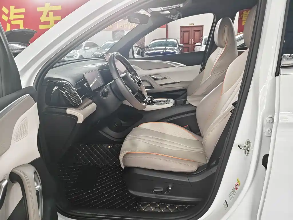 BYD Song Pro New Energy 2024 — фото 4