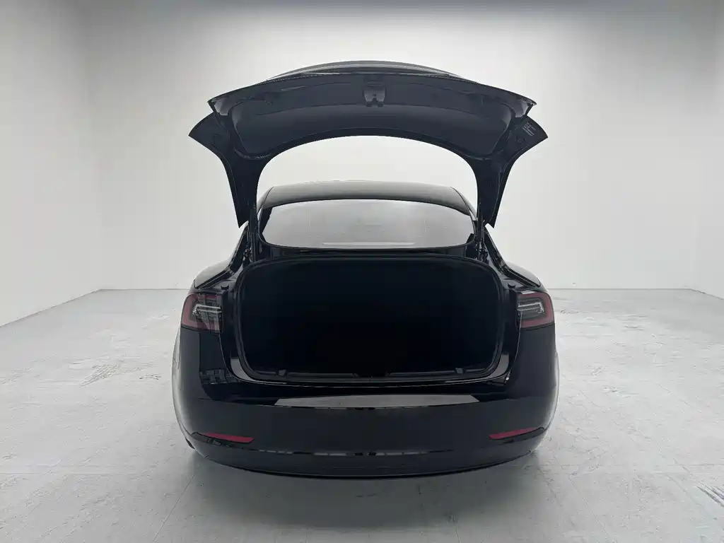 Tesla Model 3 2023 — фото 8
