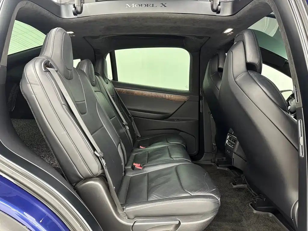 Tesla Model X 2017 — фото 19