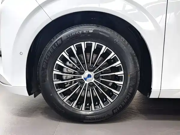Denza D9 2025