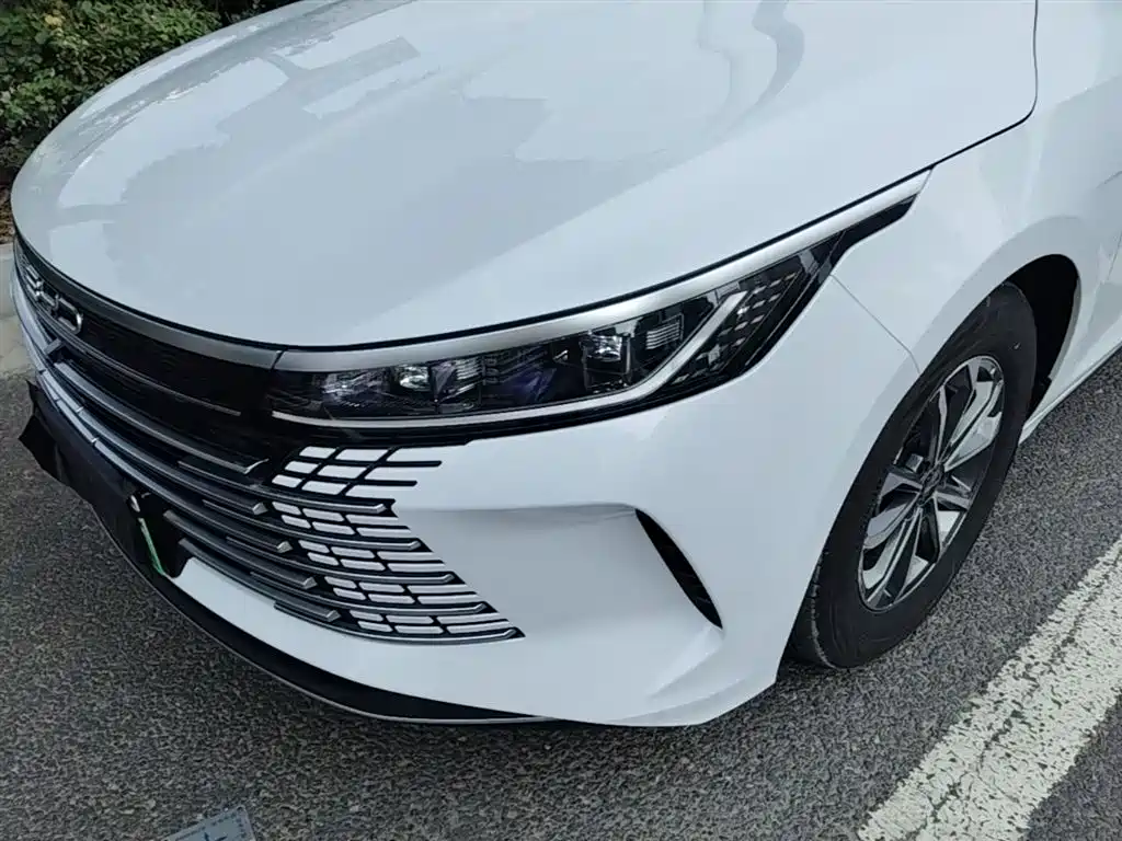 BYD Destroyer 05 2024 — фото 24