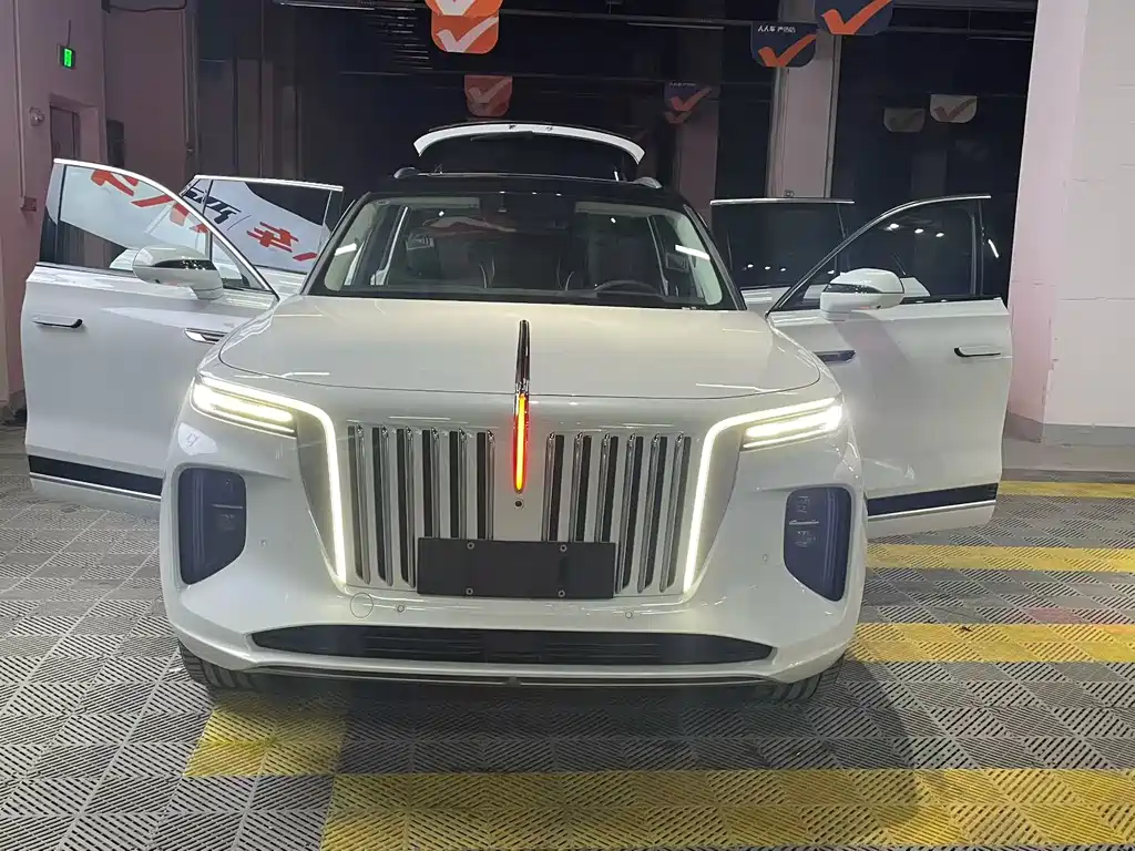 Hongqi E-HS9 2021