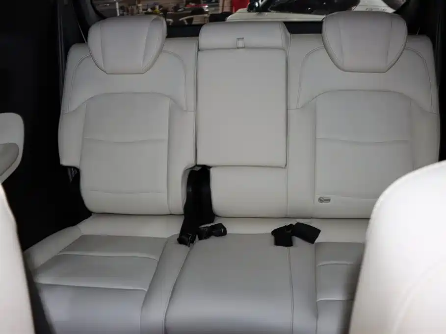 GAC Motor Trumpchi M8 2023 — фото 12