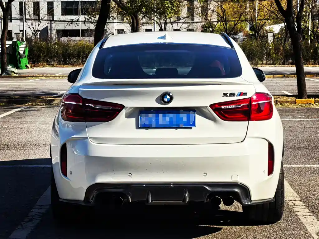 BMW X6 M 2019 — фото 9