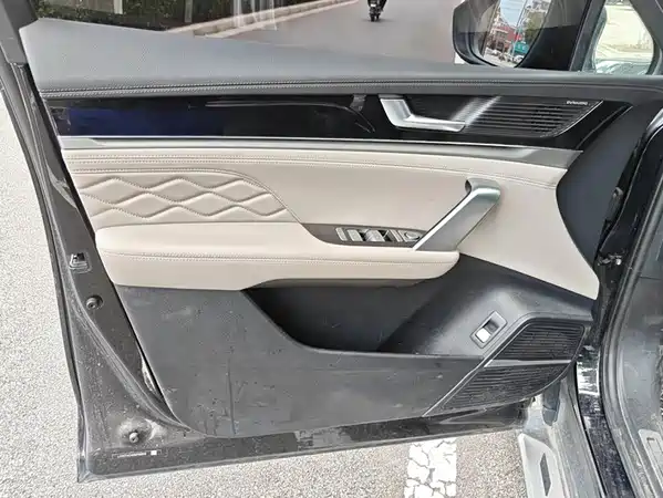 BYD Tang New Energy 2025