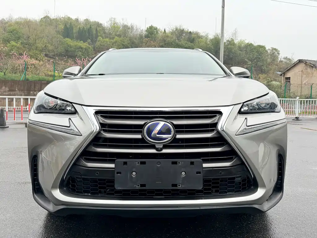 Lexus NX 2017 — фото 2