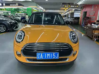 MINI MINI 2017