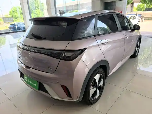 BYD Dolphin 2024