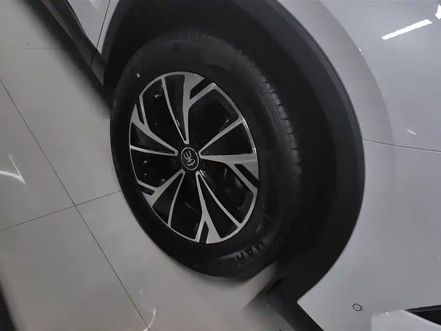 BYD Pro New Energy 2025 — фото 6