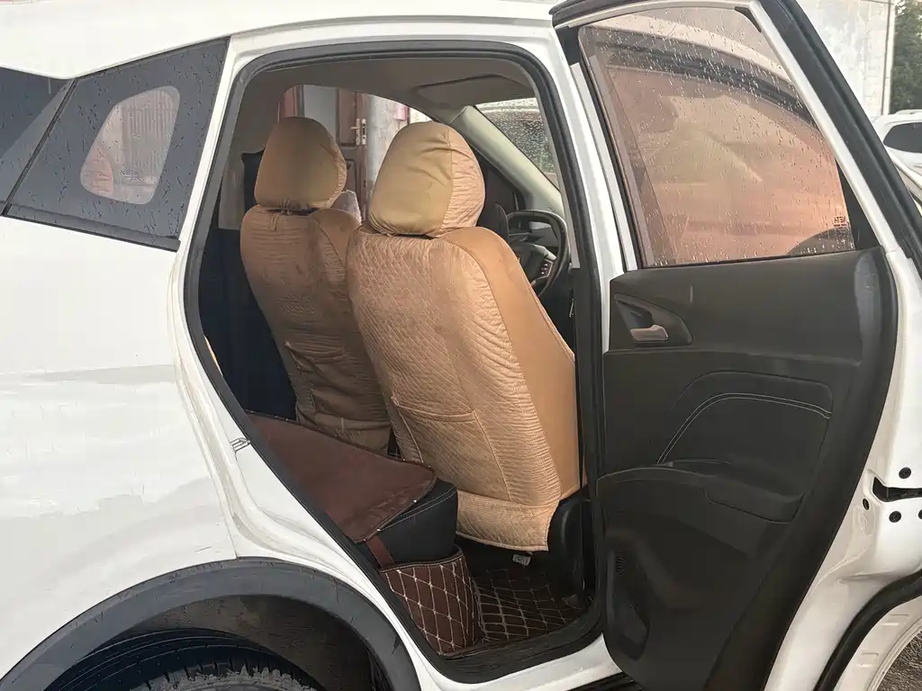 Neta V 2021