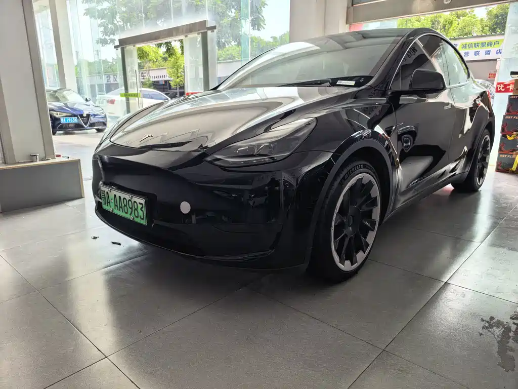 Tesla Model Y 2021 — фото 1