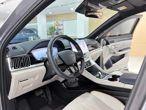 BYD Song PLUS New Energy 2024