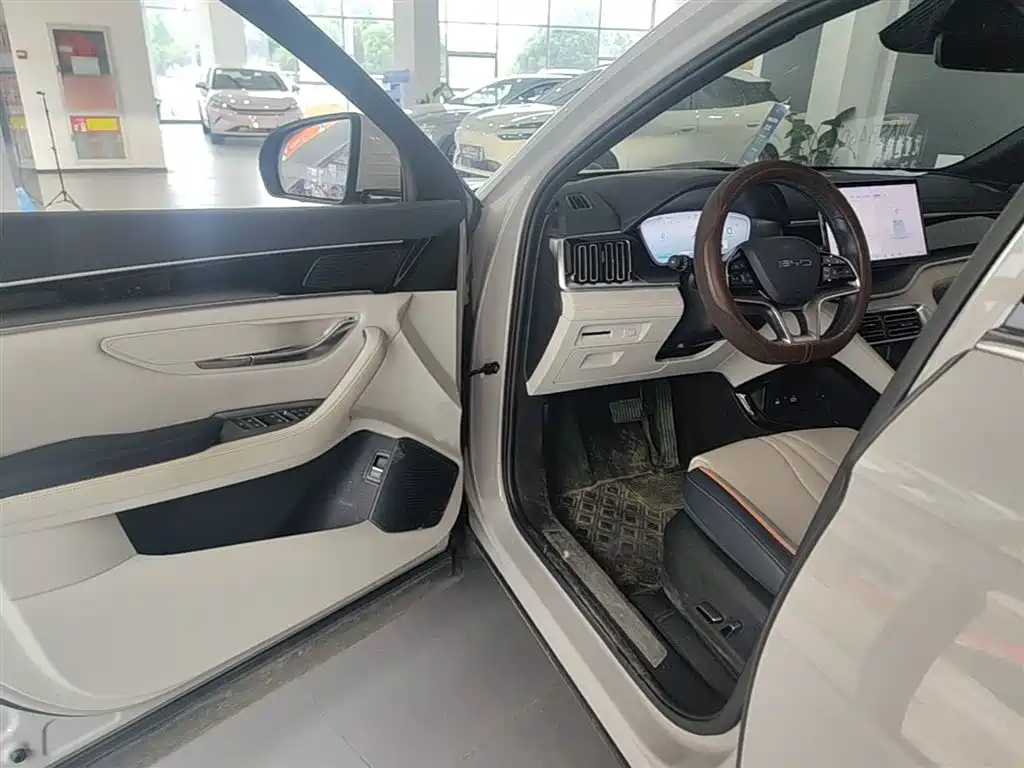 BYD PLUS New Energy 2024 — фото 16