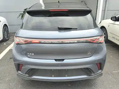 BYD Dolphin 2023